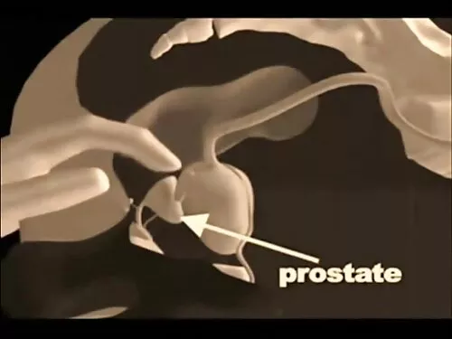الإباحية سكس اجنبي ا ...